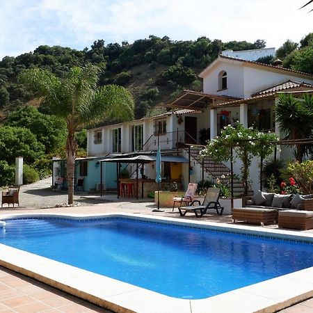 Vegan Guesthouse Finca Pereila Coín Zewnętrze zdjęcie