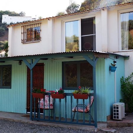 Vegan Guesthouse Finca Pereila Coín Zewnętrze zdjęcie