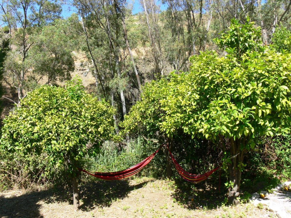 Vegan Guesthouse Finca Pereila Coín Zewnętrze zdjęcie