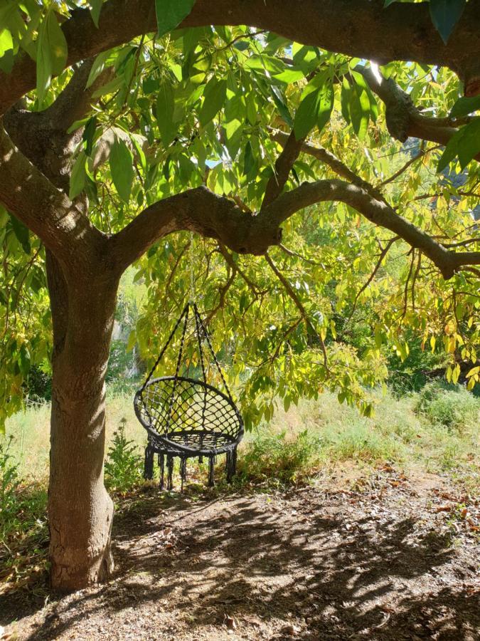 Vegan Guesthouse Finca Pereila Coín Zewnętrze zdjęcie
